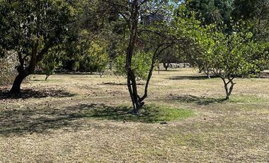 Terreno con Uso de Suelo Ideal para Cualquier Desarrollo