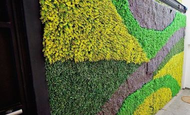 Casa para estudiantes Universitarios en Ciudad Granja Zapopan