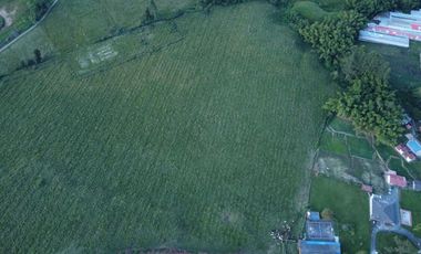 SE VENDE FINCA EN LA VIA TERMALES ARBELAEZ EN SANTA ROSA DE CABAL