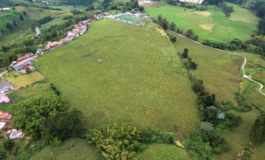 SE VENDE FINCA EN LA VIA TERMALES ARBELAEZ EN SANTA ROSA DE CABAL