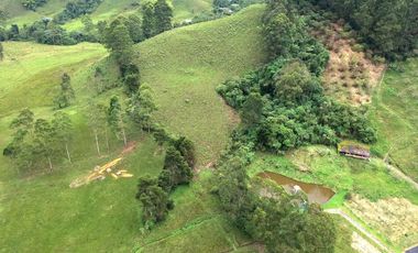 SE VENDE FINCA EN LA VIA TERMALES ARBELAEZ EN SANTA ROSA DE CABAL