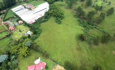 SE VENDE FINCA EN LA VIA TERMALES ARBELAEZ EN SANTA ROSA DE CABAL