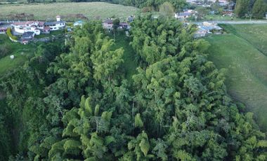 SE VENDE FINCA EN LA VIA TERMALES ARBELAEZ EN SANTA ROSA DE CABAL