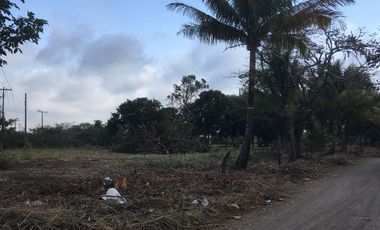 TERRENO EN VENTA A ORILLA DE CARRETERA | ARLETTE FLORES