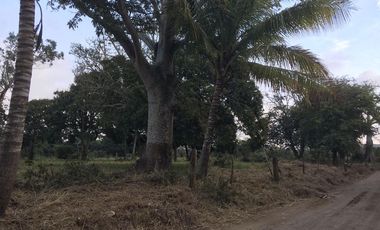 TERRENO EN VENTA A ORILLA DE CARRETERA | ARLETTE FLORES