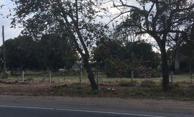 TERRENO EN VENTA A ORILLA DE CARRETERA | ARLETTE FLORES
