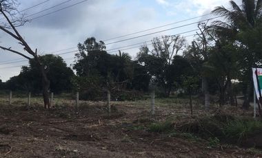 TERRENO EN VENTA A ORILLA DE CARRETERA | ARLETTE FLORES