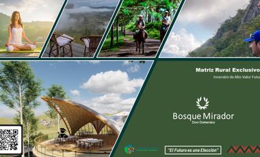 Terreno Comercial en Moyobamba