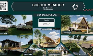 Terreno Comercial en Moyobamba