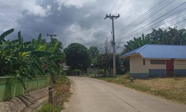 ขายบ้านพร้อมที่ดิน  ต.ทุ่งยาว อ.ปาย จ.แม่ฮ่องสอน