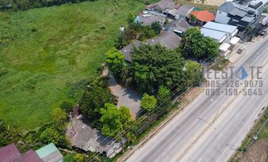 Land in Mae Rim for Sale Large Lot near Green Valley Golf Course and Kad Farang Mae Rim