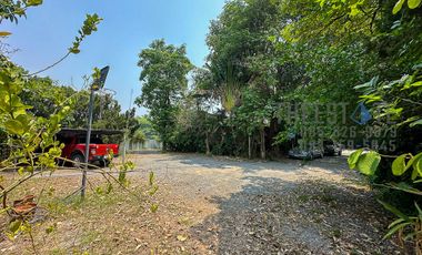 Land in Mae Rim for Sale Large Lot near Green Valley Golf Course and Kad Farang Mae Rim