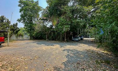 Land in Mae Rim for Sale Large Lot near Green Valley Golf Course and Kad Farang Mae Rim