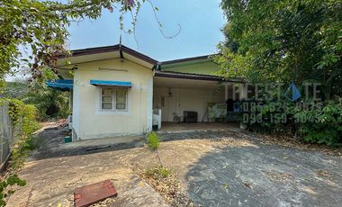 Land in Mae Rim for Sale Large Lot near Green Valley Golf Course and Kad Farang Mae Rim