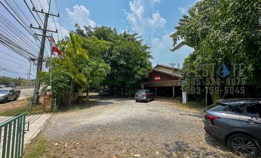 Land in Mae Rim for Sale Large Lot near Green Valley Golf Course and Kad Farang Mae Rim