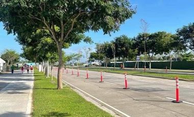 Lot for sale in Vermosa Caleia Ardia Courtyard near La Salle Zobel and Calax