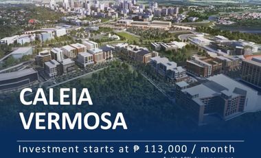 Lot for sale in Vermosa Caleia Ardia Courtyard near La Salle Zobel and Calax