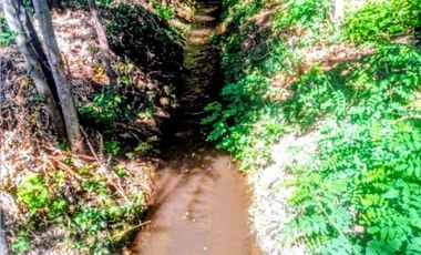 Vendo hermosa  y amplia parcela con casa de 170 m2