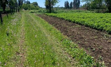 Vendo hermosa  y amplia parcela con casa de 170 m2