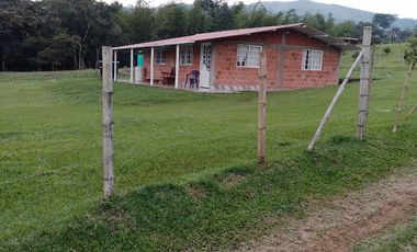 VENTA CASA CAMPESTRE EN PAVITAS TIMBIO