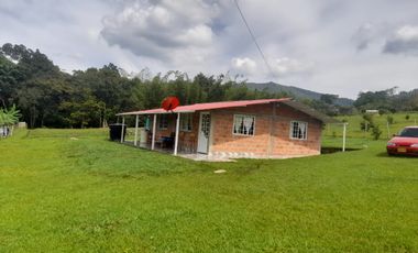 VENTA CASA CAMPESTRE EN PAVITAS TIMBIO