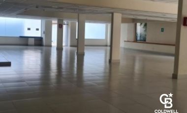 Edificio en Renta, Colonia Irrigación