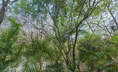 TERRENO PUERTO VALLARTA ¡GRAN OPORTUNIDAD DE INVERSIÓN!