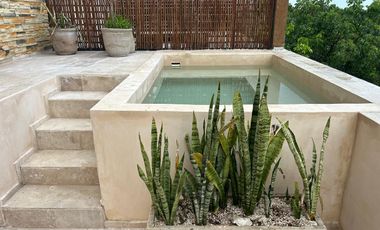 Hermoso Departamento en Renta Aldea Zama