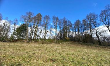 Parcela Condominio Los Guindos – Villarrica