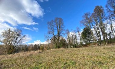 Parcela Condominio Los Guindos – Villarrica