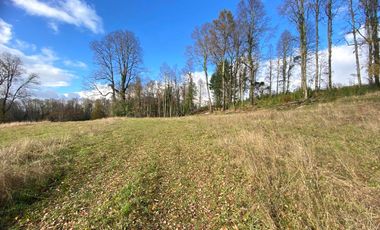 Parcela Condominio Los Guindos – Villarrica