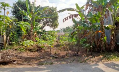 Tanah Pekarangan di Sambiroto Purwomartani kalasan sleman yogyakarta