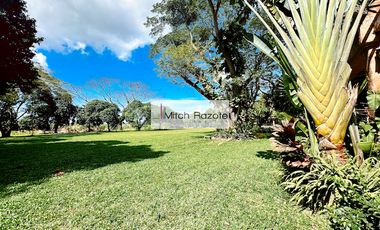 4-Hectare House and Lot Resort Farm with Swimming Pool For Sale in Tanauan, Batangas