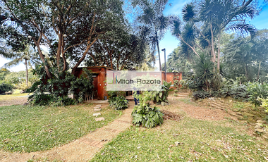 4-Hectare House and Lot Resort Farm with Swimming Pool For Sale in Tanauan, Batangas