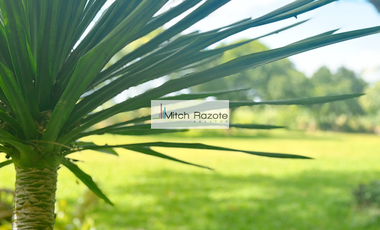 4-Hectare House and Lot Resort Farm with Swimming Pool For Sale in Tanauan, Batangas