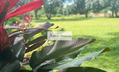 4-Hectare House and Lot Resort Farm with Swimming Pool For Sale in Tanauan, Batangas