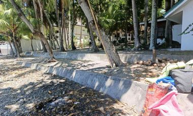 Beachfront property for sale in Laiya, San Juan, Batangas
