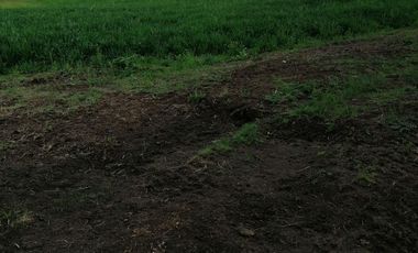 HERMOSO RANCHO EJIDAL EN VENTA EN EL MUNICIPIO        DE VILLA VICTORIA EDO.MÉX