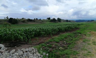 HERMOSO RANCHO EJIDAL EN VENTA EN EL MUNICIPIO        DE VILLA VICTORIA EDO.MÉX