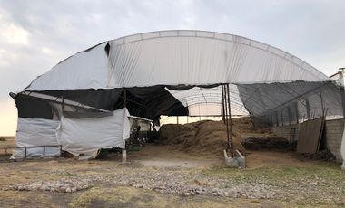 HERMOSO RANCHO EJIDAL EN VENTA EN EL MUNICIPIO        DE VILLA VICTORIA EDO.MÉX