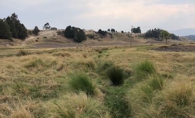HERMOSO RANCHO EJIDAL EN VENTA EN EL MUNICIPIO        DE VILLA VICTORIA EDO.MÉX