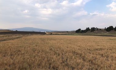 HERMOSO RANCHO EJIDAL EN VENTA EN EL MUNICIPIO        DE VILLA VICTORIA EDO.MÉX