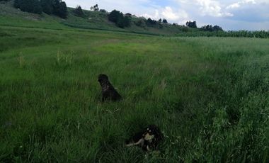 HERMOSO RANCHO EJIDAL EN VENTA EN EL MUNICIPIO        DE VILLA VICTORIA EDO.MÉX