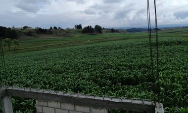 HERMOSO RANCHO EJIDAL EN VENTA EN EL MUNICIPIO        DE VILLA VICTORIA EDO.MÉX