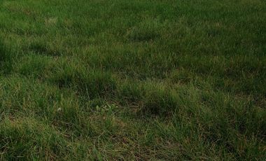 HERMOSO RANCHO EJIDAL EN VENTA EN EL MUNICIPIO        DE VILLA VICTORIA EDO.MÉX