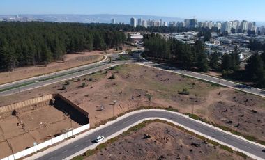 TERRENOS – PINARES DE MONTEMAR