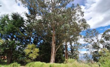 VENTA TERRENO VALLE DE LOS CHILLOS SECTOR LA MERCED