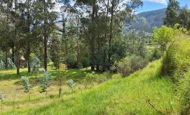 VENTA TERRENO VALLE DE LOS CHILLOS SECTOR LA MERCED