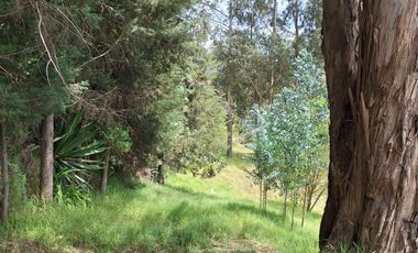 VENTA TERRENO VALLE DE LOS CHILLOS SECTOR LA MERCED