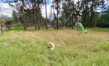 VENTA TERRENO VALLE DE LOS CHILLOS SECTOR LA MERCED